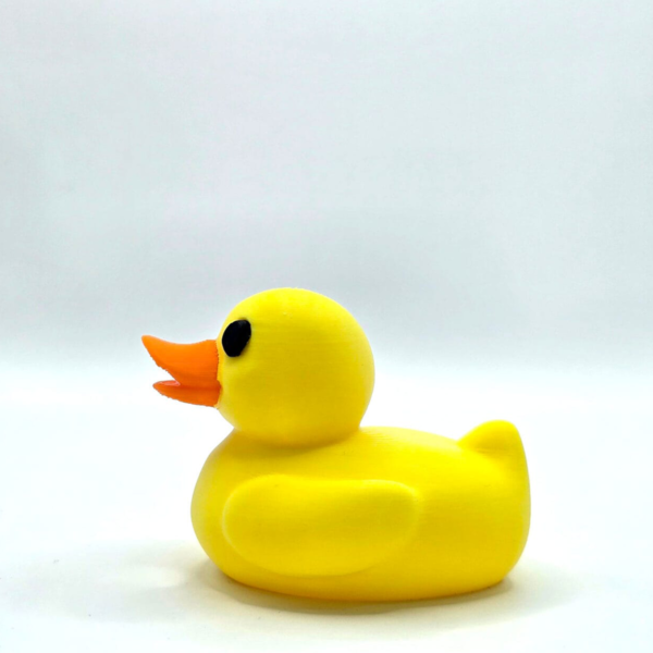 Rubber Duck Light Pull – Fun Bathroom Pull | 3D on Sea