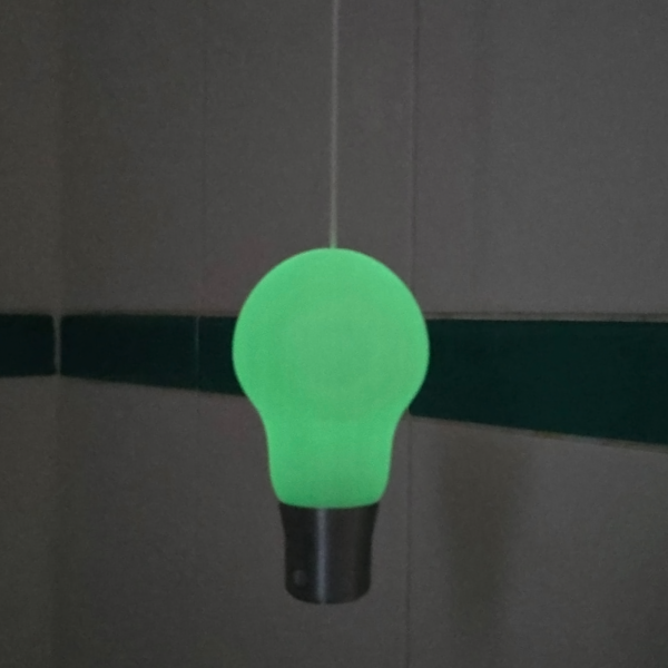 Glow_in_the_Dark_Bulb_Light_Pull_2 Glow in the Dark Light Bulb Light Pull – Novelty Bathroom Pull | 3D on Sea
