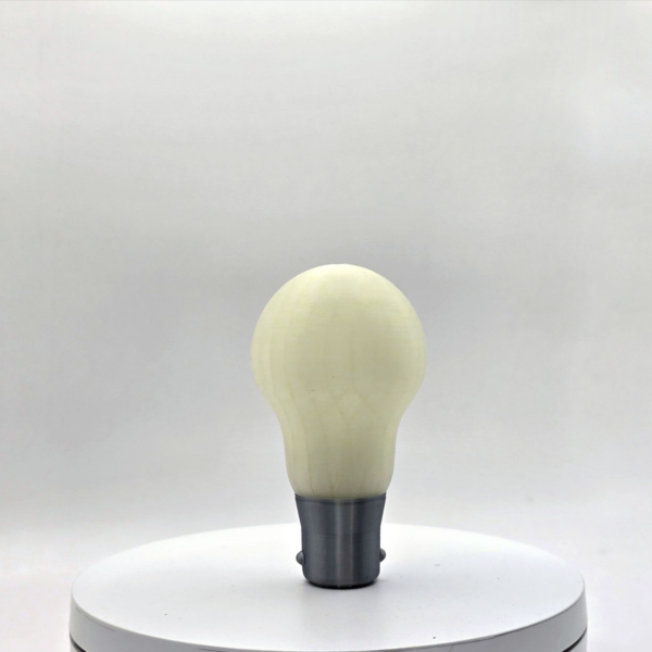 Glow_in_the_Dark_Bulb_Light_Pull_3 Glow in the Dark Light Bulb Light Pull – Novelty Bathroom Pull | 3D on Sea