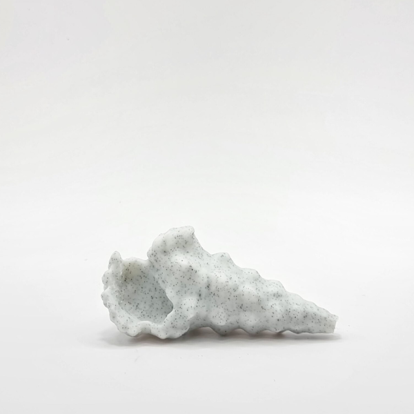 seashell bathroom light pull coastal design