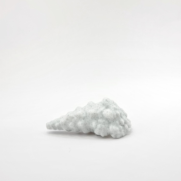 seashell bathroom light pull coastal design