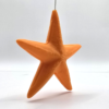 Starfish Light Pull - Coastal Bathroom Pull | 3D on Sea